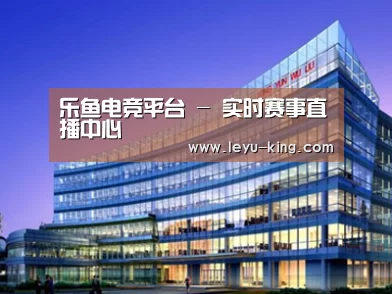 案例展示五