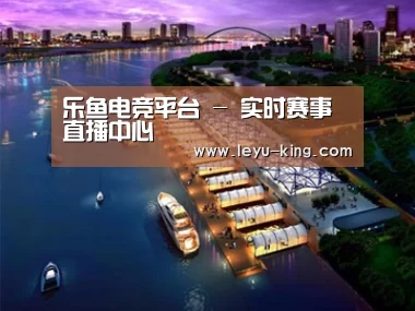 案例展示八