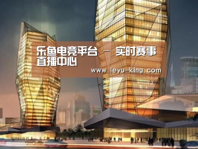 案例展示三