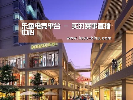 案例展示一