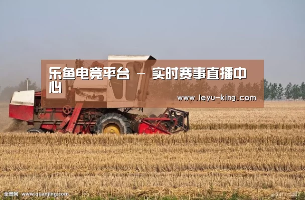 产品名称七