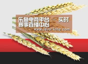 乐鱼电竞平台 - 实时赛事直播中心