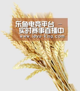 乐鱼电竞平台 - 实时赛事直播中心