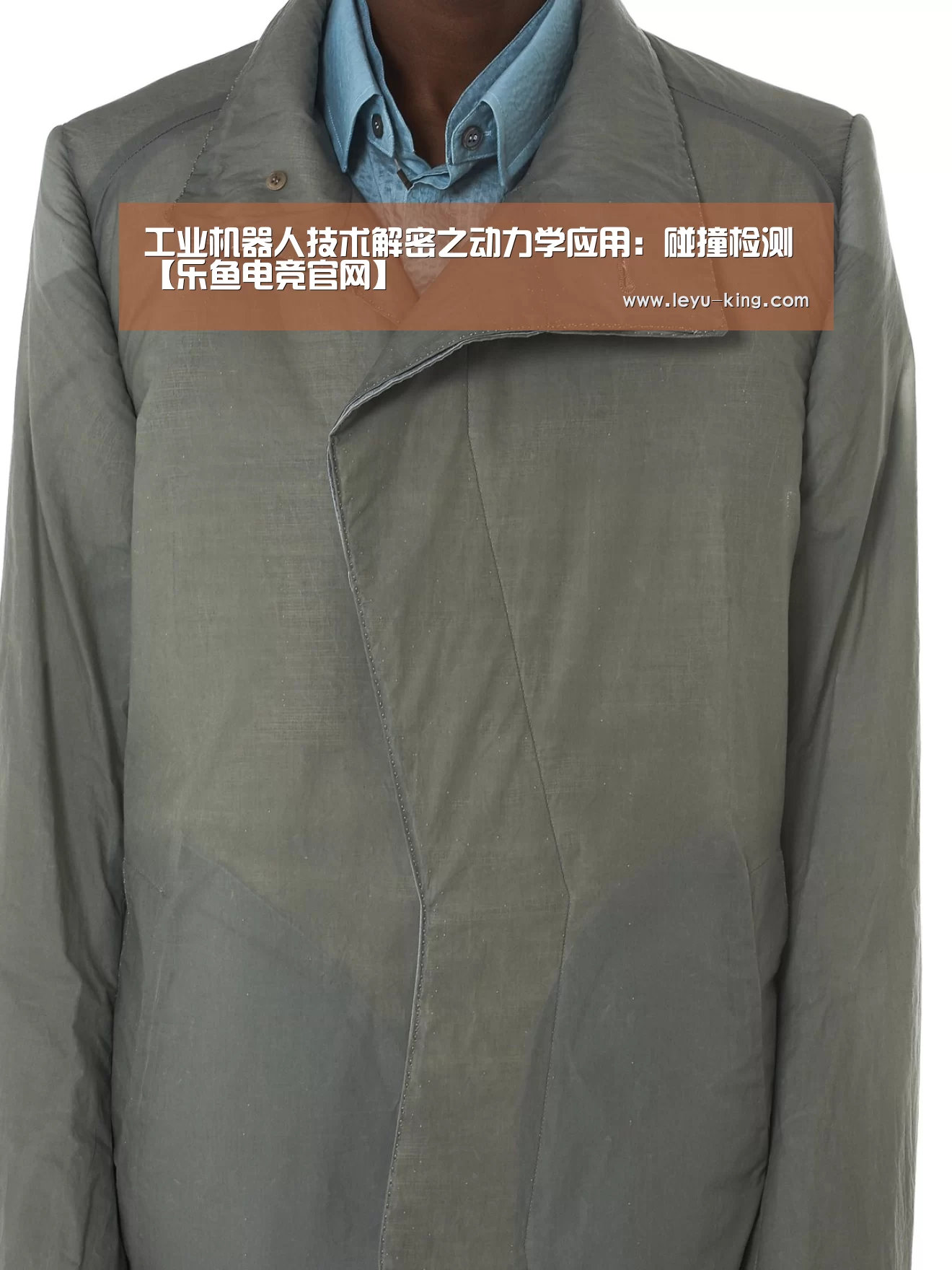 乐鱼电竞官网