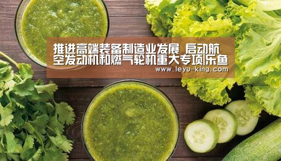 推进高端装备制造业发展 启动航空发动机和燃气轮机重大专项|乐鱼电竞官网(图2) 乐鱼登录入口
